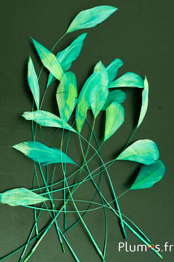 Coquetips - 13-18 cm - vert-jaune